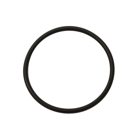 Těsnící kroužek 52x2,6 termostat Felicia