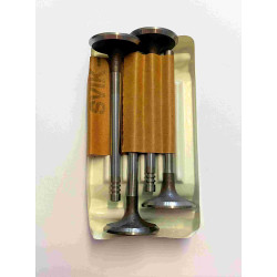 Ventily sací Felicia 1,3 7mm  org.