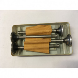 Sada výfukových ventilů   na Š110 Abnormal